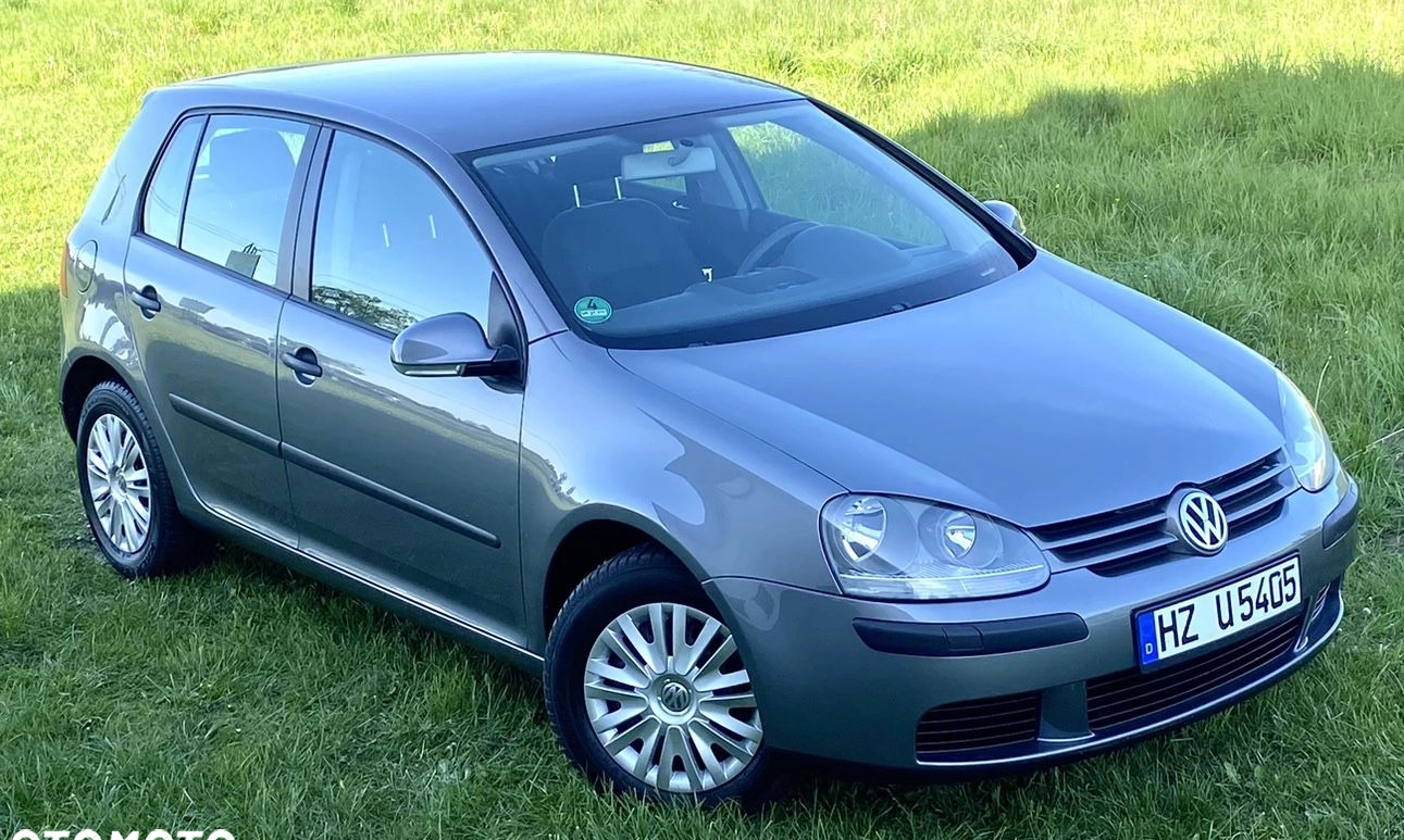 Volkswagen Golf cena 12600 przebieg: 193000, rok produkcji 2004 z Gostynin małe 562